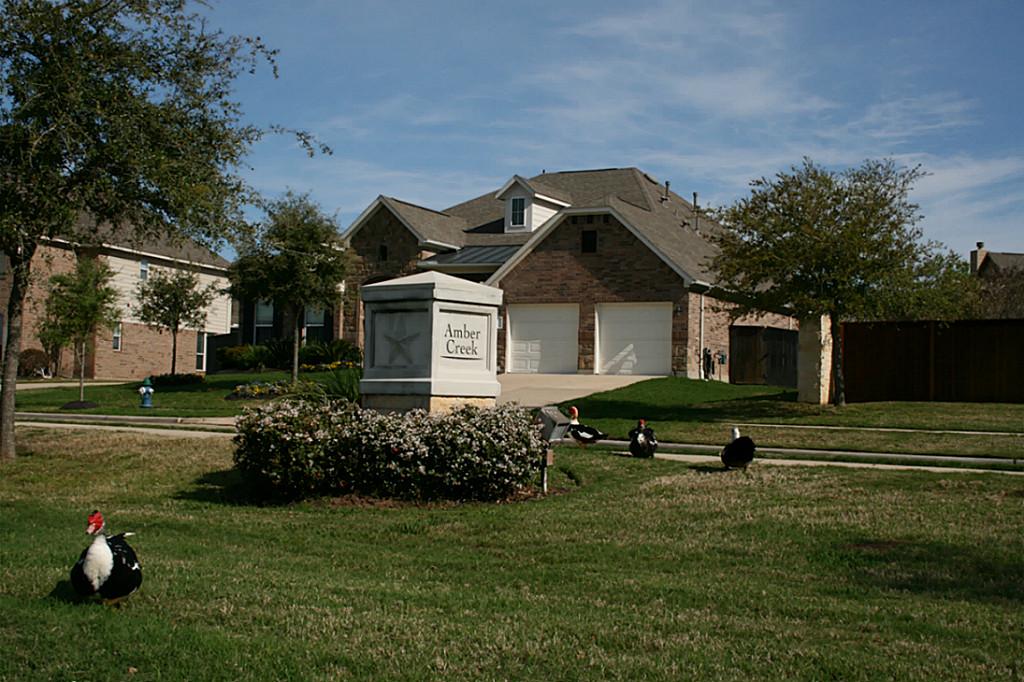 21310 Long Meadow Farms Pkwy, Richmond, TX 77406