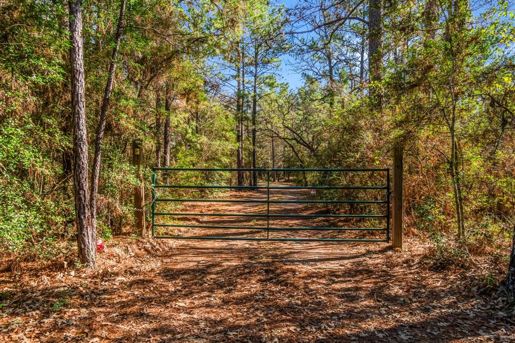 22310 Glenmont Estates Blvd, MAGNOLIA, TX 77355