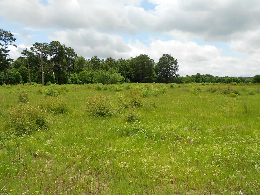 Fm 2501 Fm 2501, APPLE SPRINGS, TX 75926