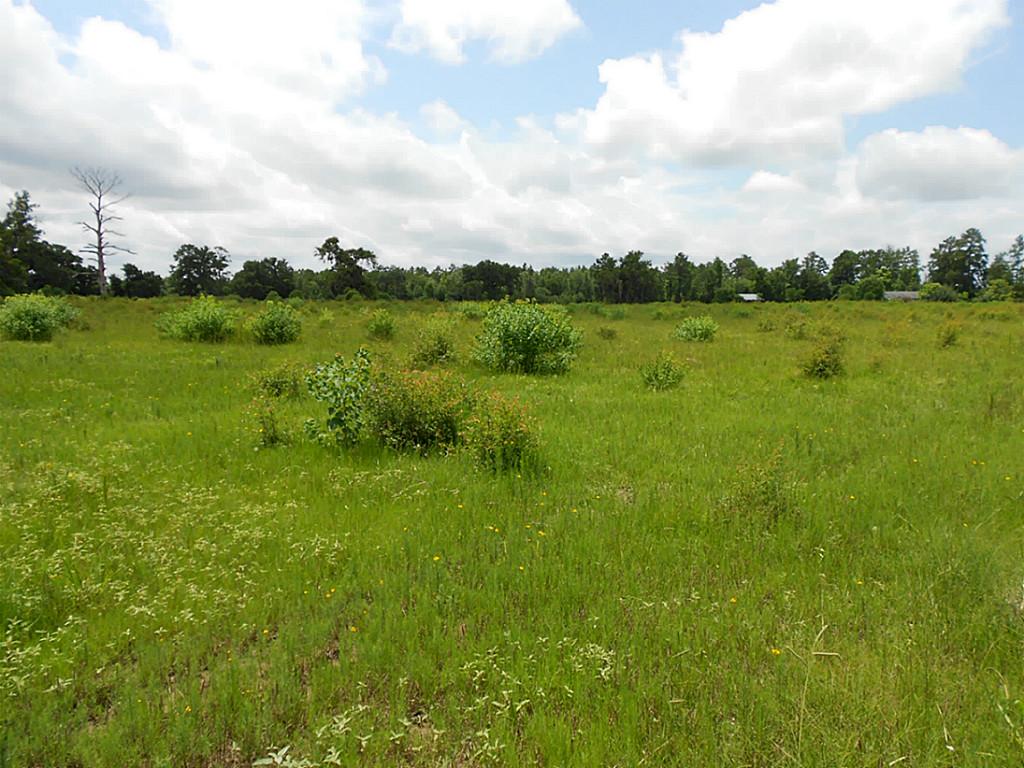 Fm 2501 Fm 2501, APPLE SPRINGS, TX 75926