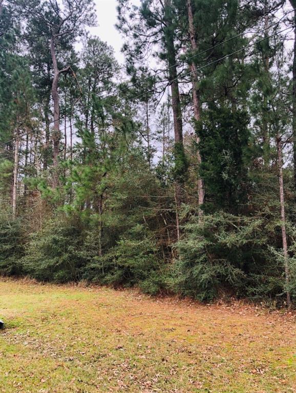 Lot 19 Block 7 Clear Creek Forest 11, MAGNOLIA, TX 77355