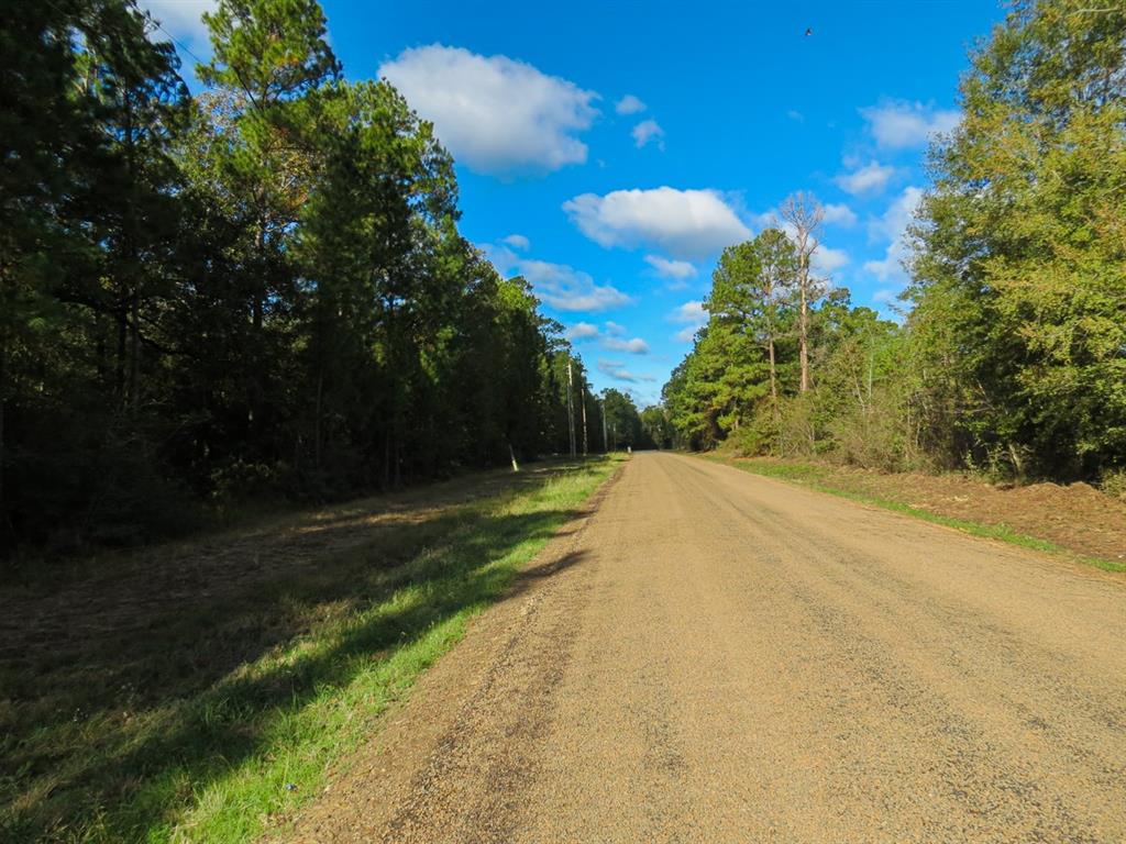 2744 S Mangum Rd, Livingston, TX 77351