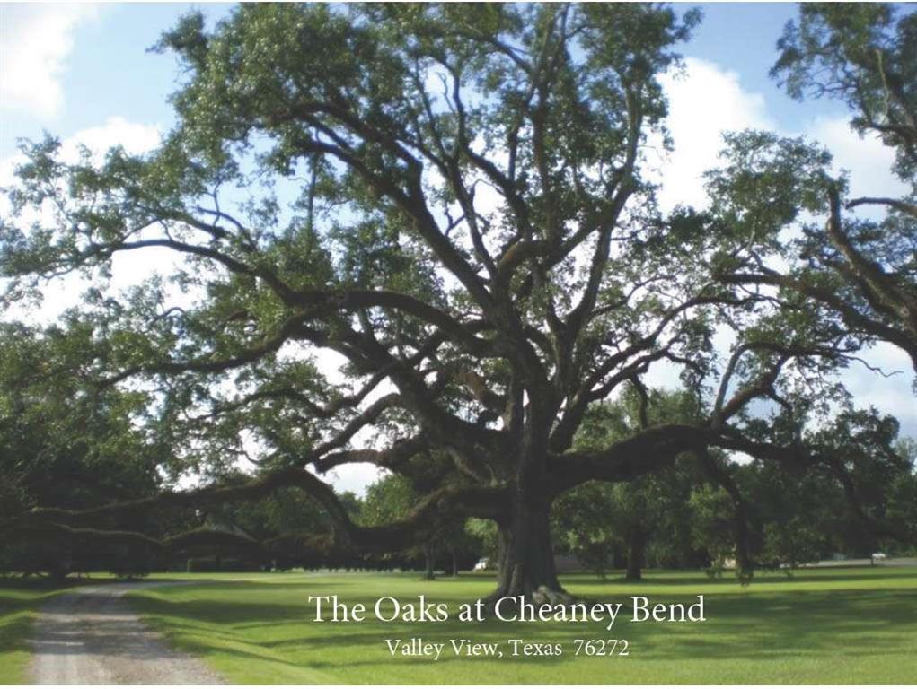 Lot 20 Shady Oak Ln  