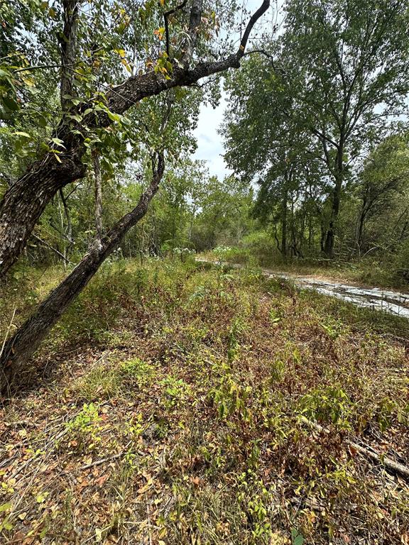 487 3rd St, FRESNO, TX 77545