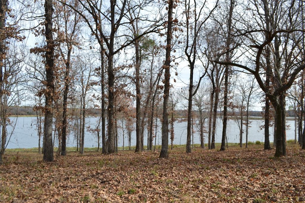 Lot 15 Anger Shores Angler Shrs Dr  