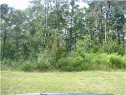 27015 Star Gazer Way