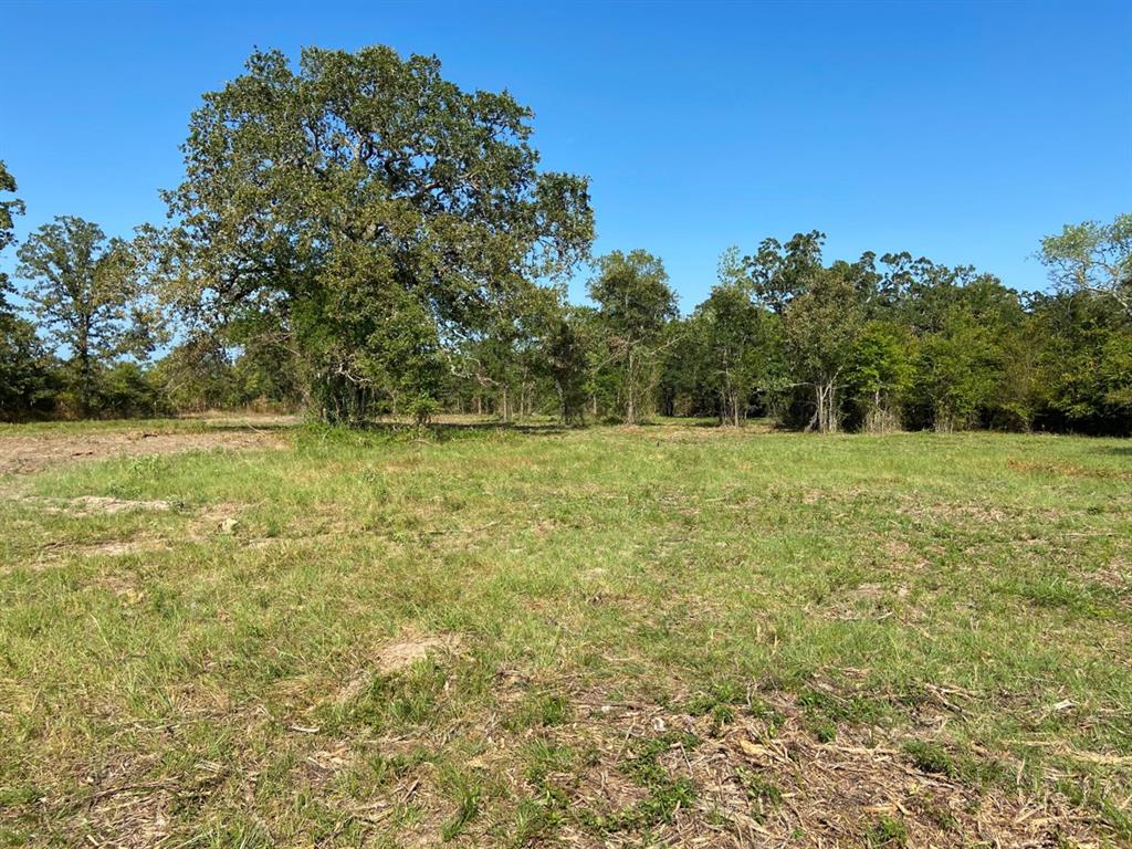 87 High Oak, Huntsville, TX 77340 - HAR.com