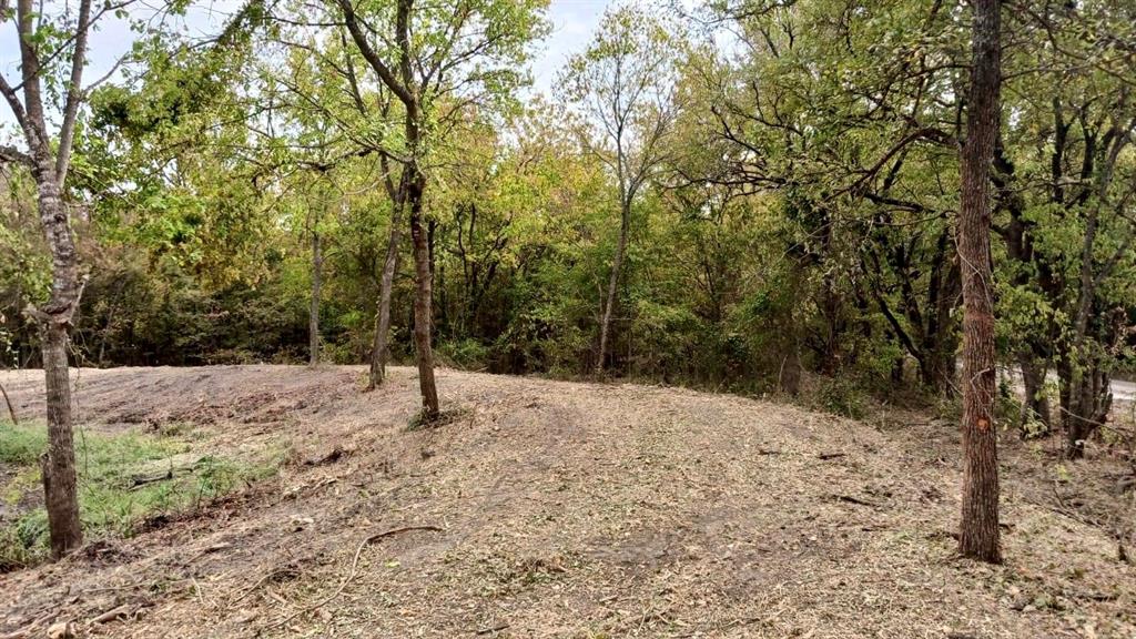 0 County Rd 4519  